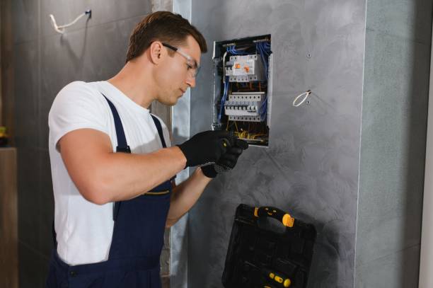 Best Affordable Emergency Electrician  in Royal Oak, MI
