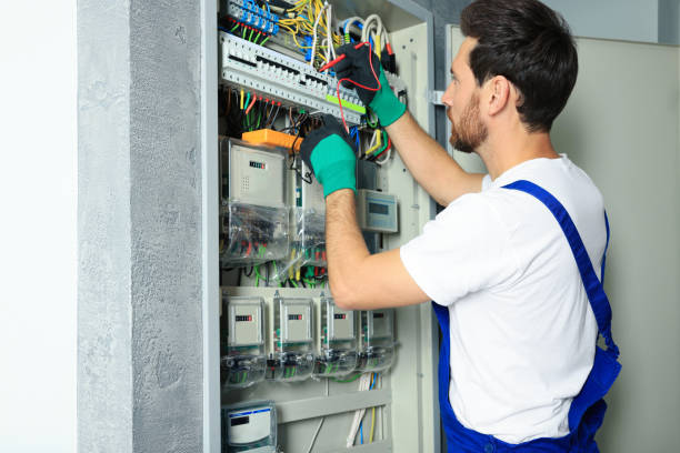 Best Electrical System Inspection  in Royal Oak, MI