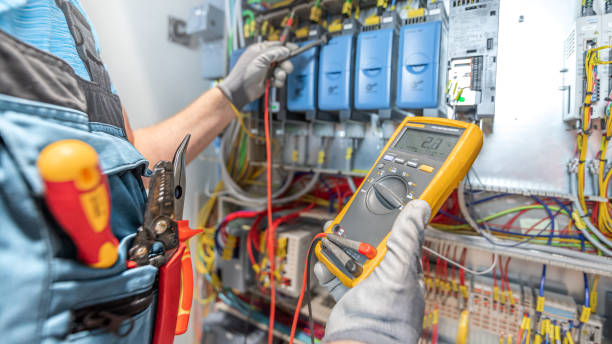 Best Electric Panel Repair  in Royal Oak, MI