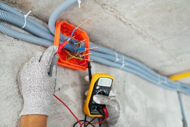 Best Electrical Repair Services  in Royal Oak, MI